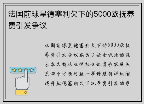 法国前球星德塞利欠下的5000欧抚养费引发争议